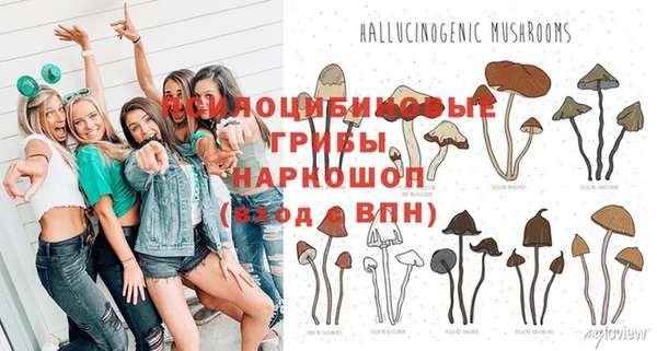 стаф Алексеевка