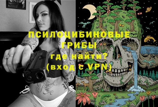 MESCALINE Аркадак