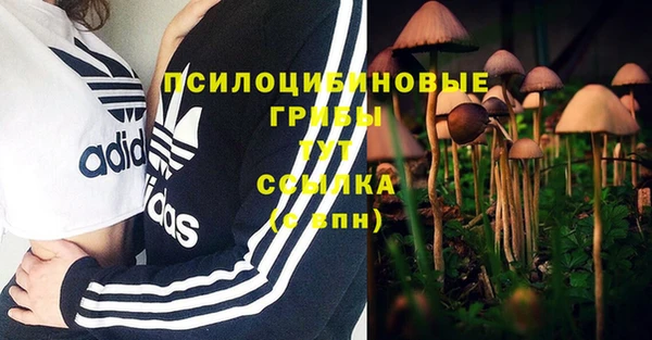 стаф Алексеевка