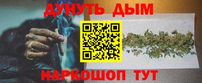 амф Новокубанск