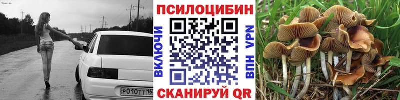 магазин    Георгиевск  Галлюциногенные грибы мицелий 
