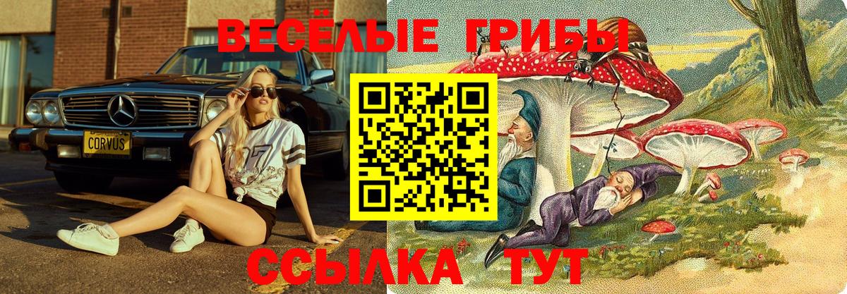 Псилоцибиновые грибы ЛСД Георгиевск