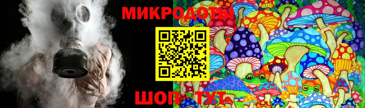 Георгиевск  Галлюциногенные грибы Psilocybine cubensis  Вход с VPN 