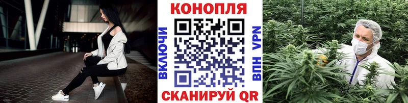 МАРИХУАНА семена  блэк спрут онион  Георгиевск 